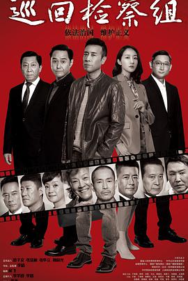 巡回检察组电视剧全集免费观看
